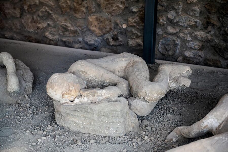 From Rome: Pompeii and Herculaneum by High-Speed Train - Is $222.77 a fair price?