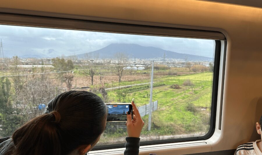 From Rome: Pompeii and Herculaneum Tour w/ High-speed Train - Meeting at Rome Termini