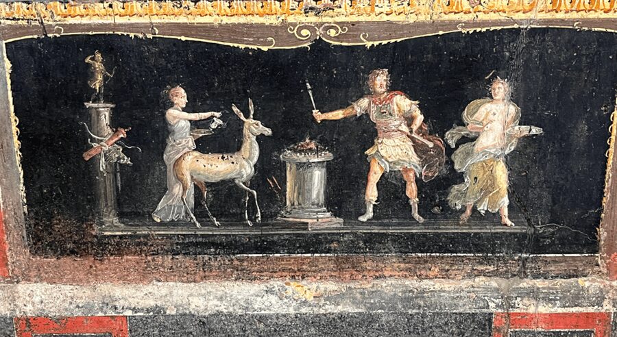 From Rome: Pompeii and Herculaneum Tour w/ High-speed Train - Is $201.75 Good Value?