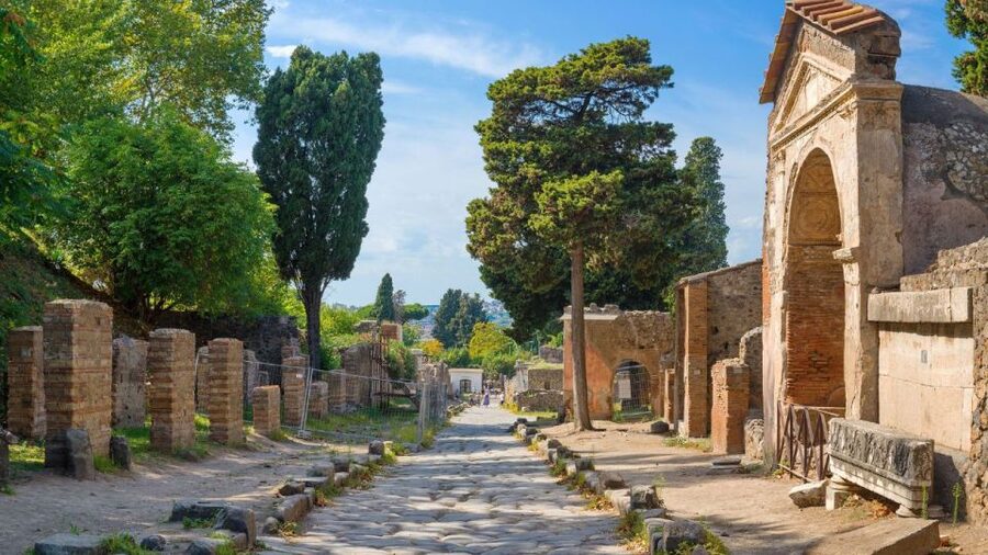 From Rome: Pompeii and Naples Day Trip by High-Speed Train - FAQ