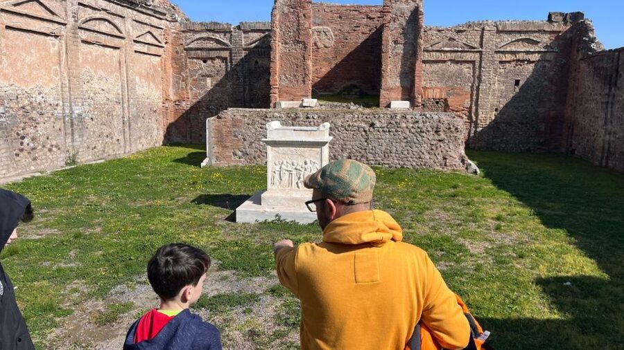 From Rome: Pompeii and Naples Day Trip by High-Speed Train - Naples from Posillipo to Piazza del Plebiscito