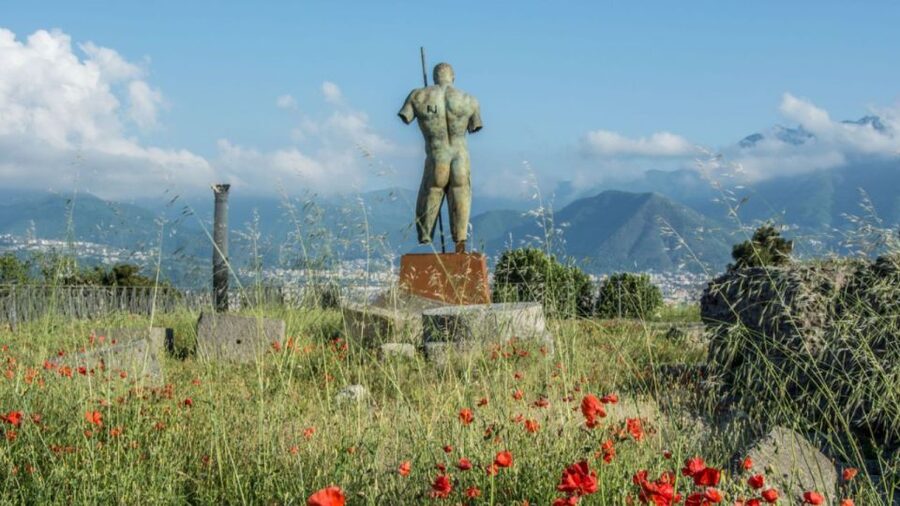 From Rome: Pompeii and Naples Day Trip by High-Speed Train - The guides and organization make the packed schedule work
