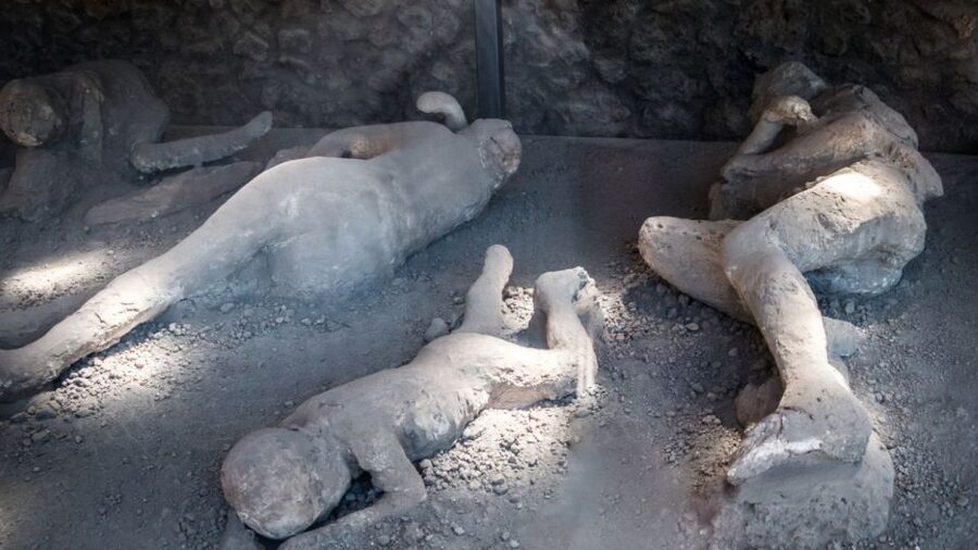 From Rome: Pompeii and Naples Day Trip by High-Speed Train - Who should book this day trip?