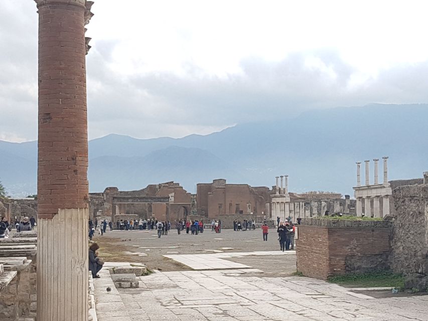 From Rome: Pompeii and Naples, Full Day Tour with Lunch - A winery lunch with Campanian flavors