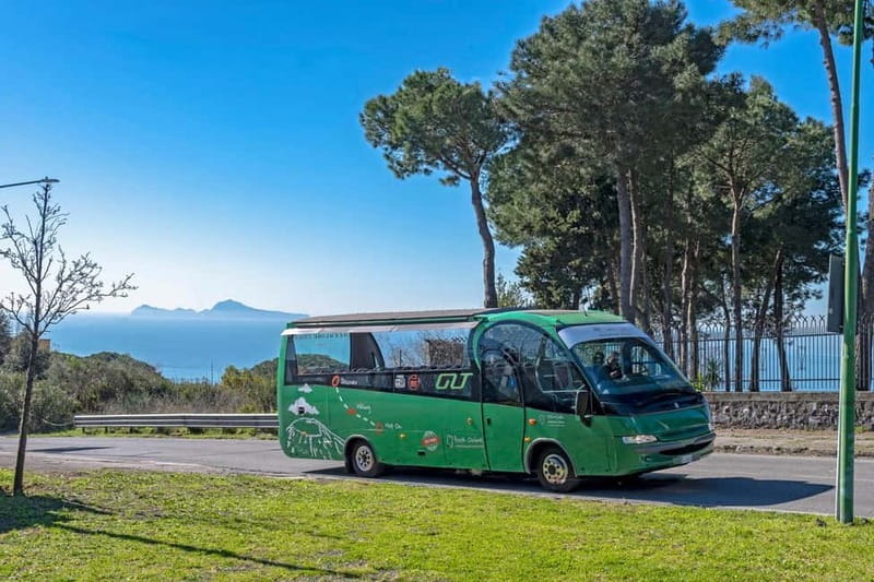 From Rome: Pompeii and Vesuvio Guided Day Trip with Lunch - The Rome to Pompeii journey takes patience