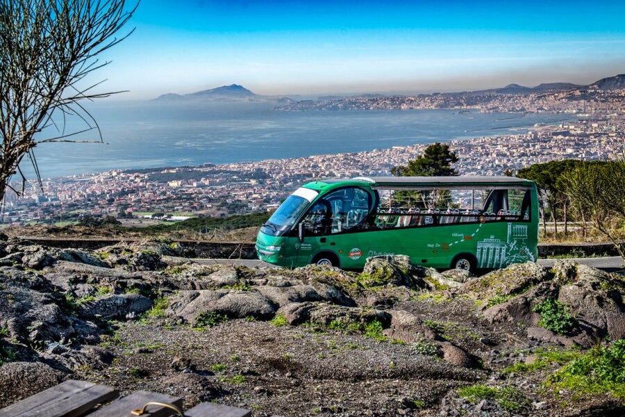 From Rome: Pompeii and Vesuvio Guided Day Trip with Lunch - Practical advice for making the day easier
