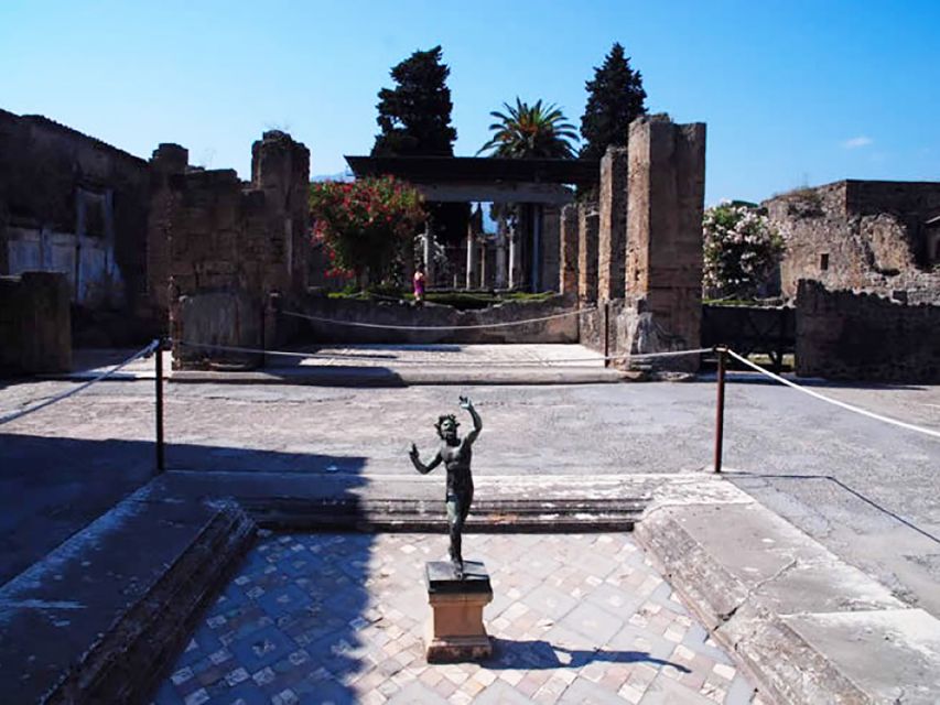 From Rome: Pompeii Day Trip by Fast Train and Car - What private guiding adds to the Pompeii visit
