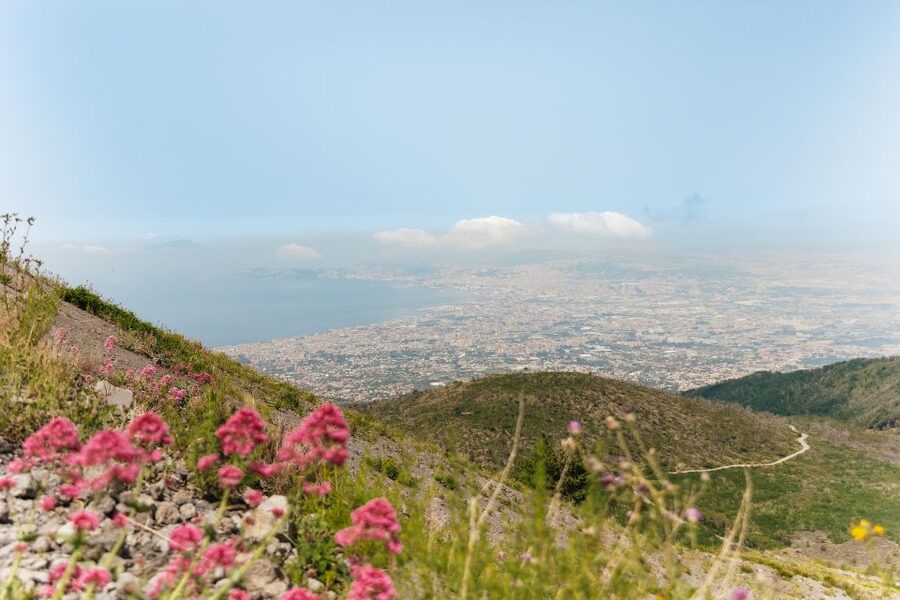 From Rome: Pompeii Day Trip with Optional Vesuvius and Lunch - Who should book this day trip?
