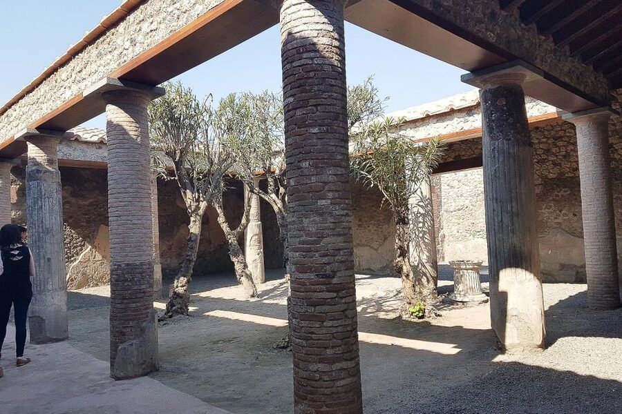 From Rome: Pompeii & Naples Small-Group Day Tour with Lunch - Why this Rome day trip packs in so much