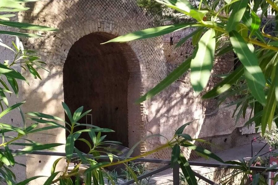 From Rome: Pompeii & Naples Small-Group Day Tour with Lunch - A biological farm lunch with wine tasting