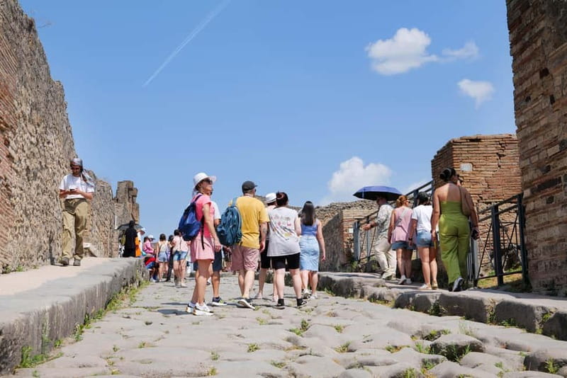 From Rome: Pompeii Ruins Tour with Expert Guide & Fast Train - What two hours inside Pompeii gives you