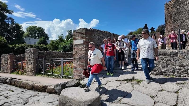 From Rome: Pompeii Ruins Tour with Expert Guide & Fast Train - Who will enjoy this day trip most