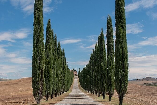 From Rome: Private Day-Tour of Tuscany - Key points to know before booking