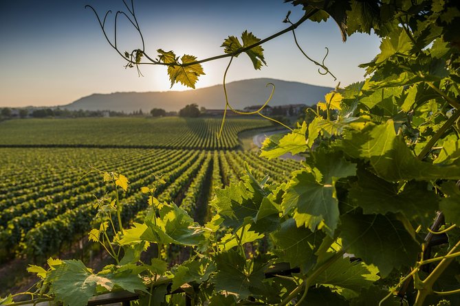 From Rome: Private Day-Tour of Tuscany - Why this Rome to Tuscany trip works