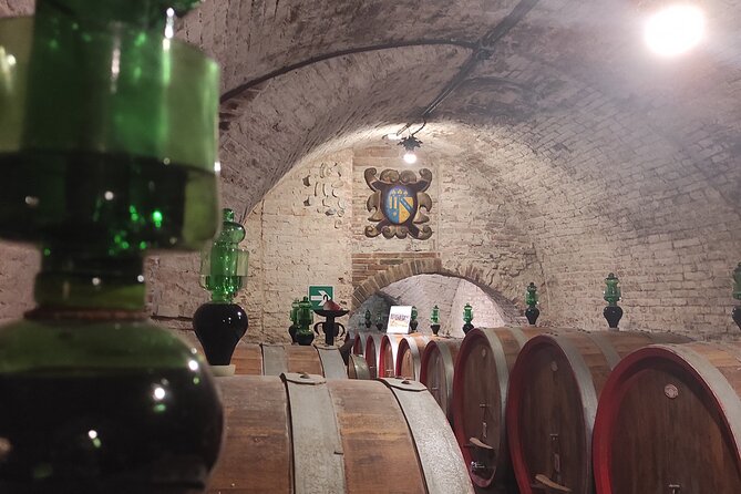 From Rome: Private Day-Tour of Tuscany - Montepulciano: wine, views, and steep old streets
