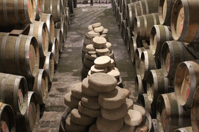 From Rome: Private Day-Tour of Tuscany - Who should book this day in Tuscany?