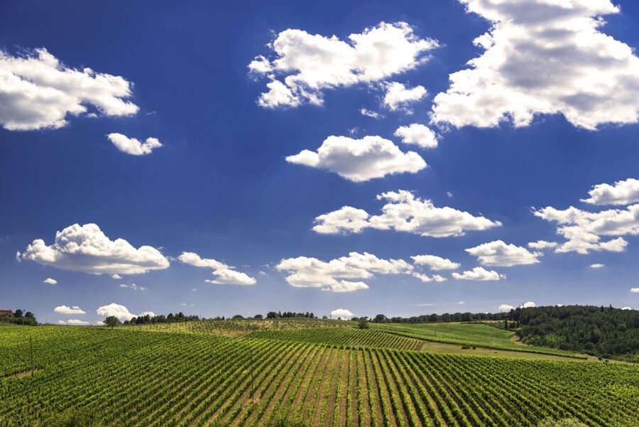 From Rome: Private Tuscany Day Trip - What the optional winery visit adds