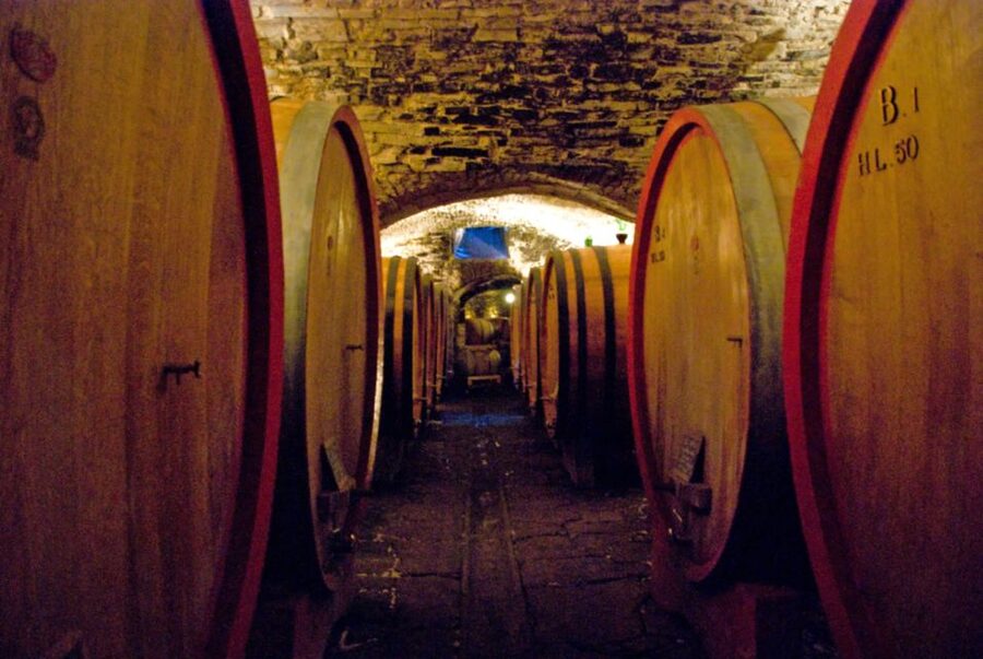 From Rome: Private Tuscany Day Trip - Riding in a private Mercedes for 12 hours