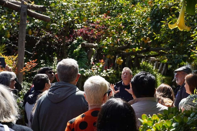 From Rome: Sorrento & Pompeii Day Trip with Guide or Ticket - Why this Rome day trip works