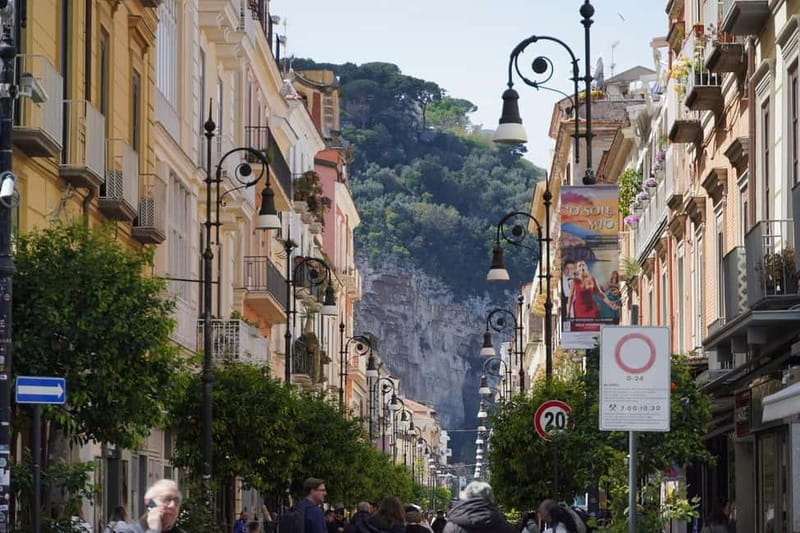 From Rome: Sorrento & Pompeii Day Trip with Guide or Ticket - The long ride south from Rome