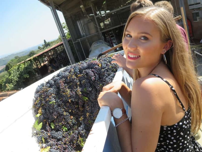 From Rome: Tuscany & Siena with Wine Tasting and Lunch - Monteriggioni: a quick stop inside the walls