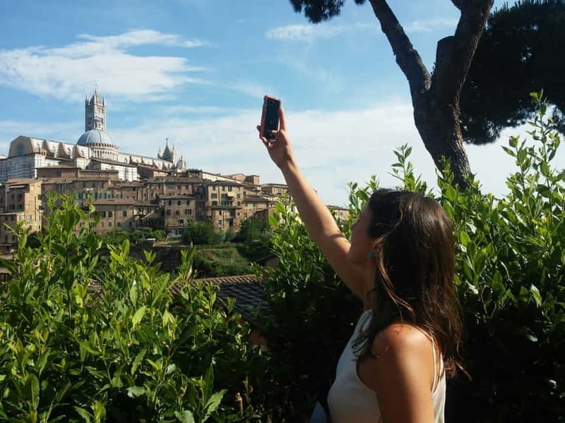 From Rome: Tuscany & Siena with Wine Tasting and Lunch - Chianti roads, winery lunch, and tastings