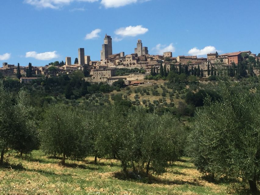 From Rome: Tuscany & Siena with Wine Tasting and Lunch - Who will get the most from this tour