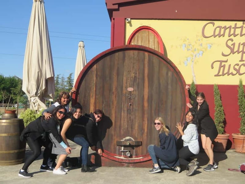 From Rome: Tuscany Wine Tour, San Gimignano & Florence - Who should book this experience?