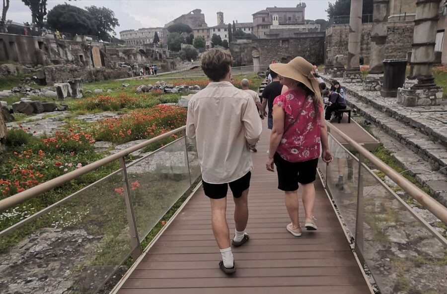 Guided tour of Roman Forum & Palatine Hill - Temple of Venus and Roma