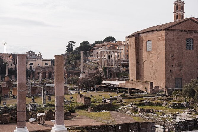Guided Tour of the Colosseum, Forum and Palatine Hill - Who should book this experience