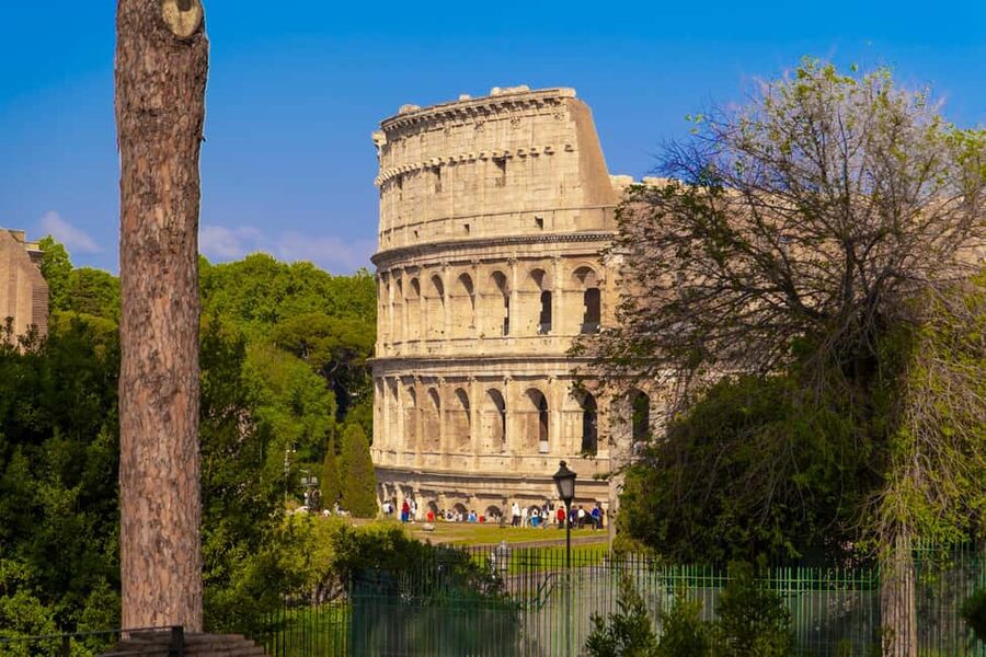Guided Tour to the Palatine Coliseum and Roman Forum - Palatine Hill and the final hour