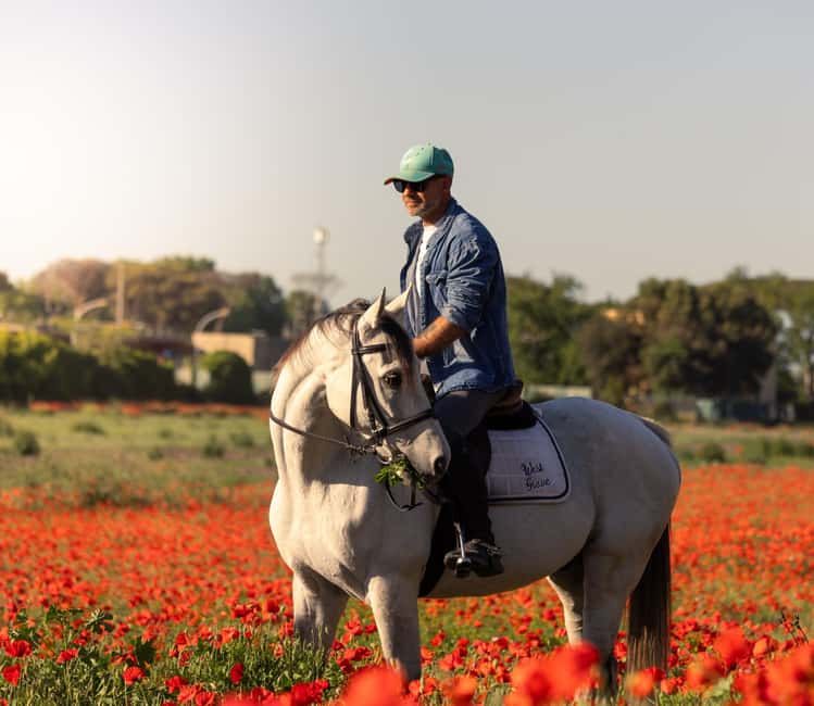 Horse Sanctuary in Rome - Key points at a glance