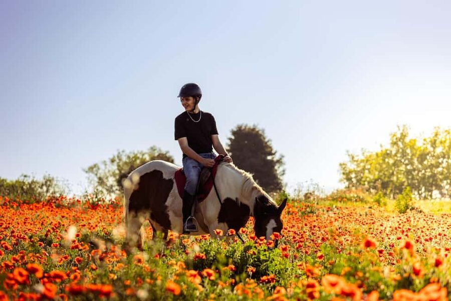 Horse Sanctuary in Rome - Meeting rescued horses before the ride