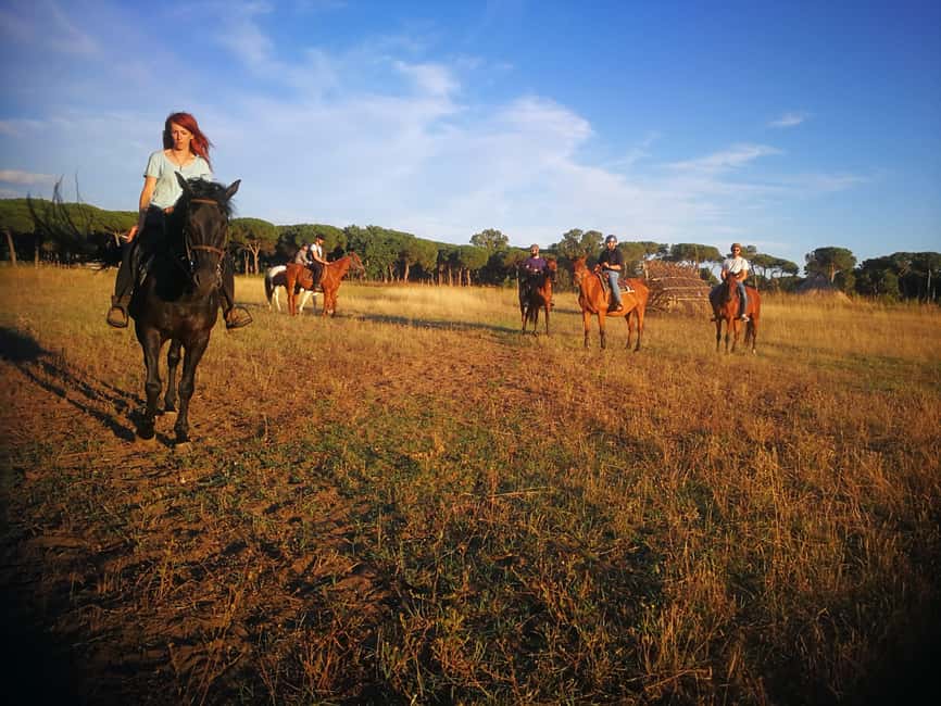 Horse Sanctuary in Rome - Getting there from Rome or Fiumicino