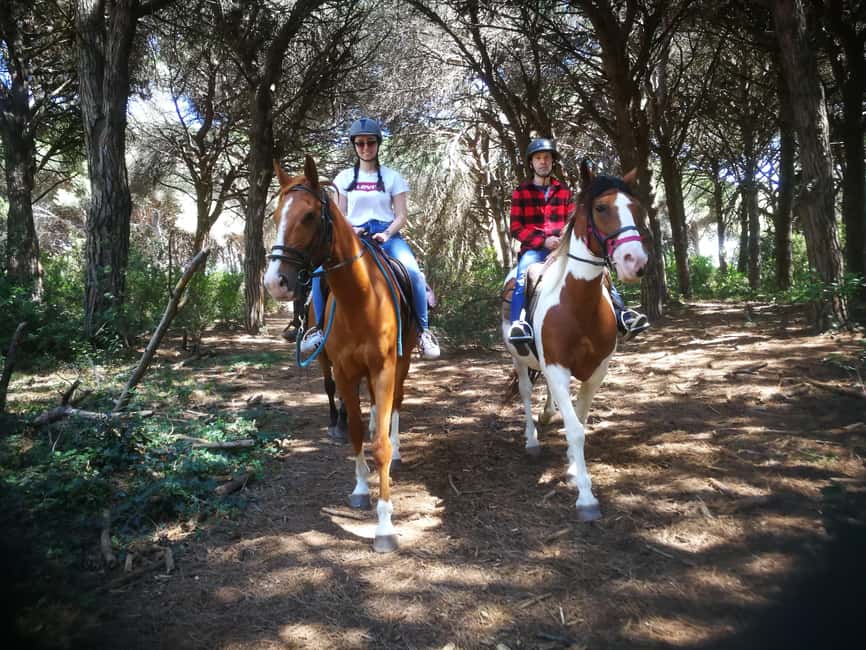 Horse Sanctuary in Rome - What the $106 price includes