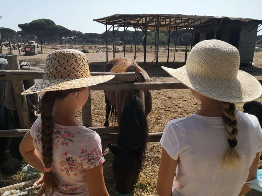 Horse Sanctuary in Rome - Clothes, weight limits, and practical restrictions