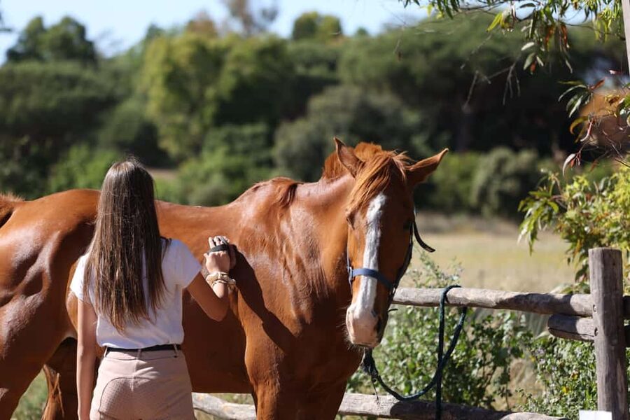 Horse Sanctuary in Rome - Who will enjoy this most