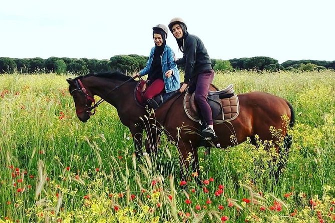Horse Sanctuary & Trail Ride in Ostia Antica - Riding through fields near ancient Rome