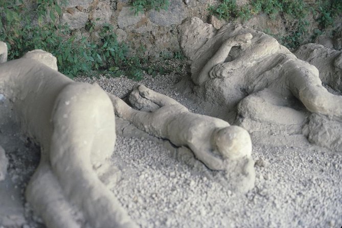 Pompeii and Mount Vesuvius Day Trip from Rome with Pizza Lunch - Who should book this tour?