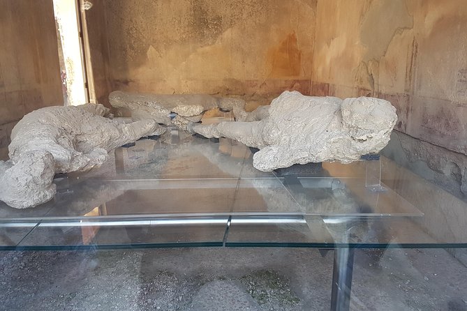 Pompeii and Naples from Rome: Small Group Day Tour with Lunch - The minivan, guides, and group size