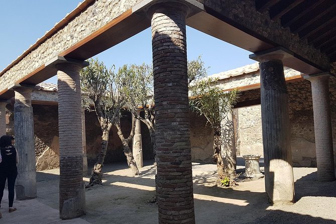 Pompeii and Naples from Rome: Small Group Day Tour with Lunch - Timing, preparation, and small practical details