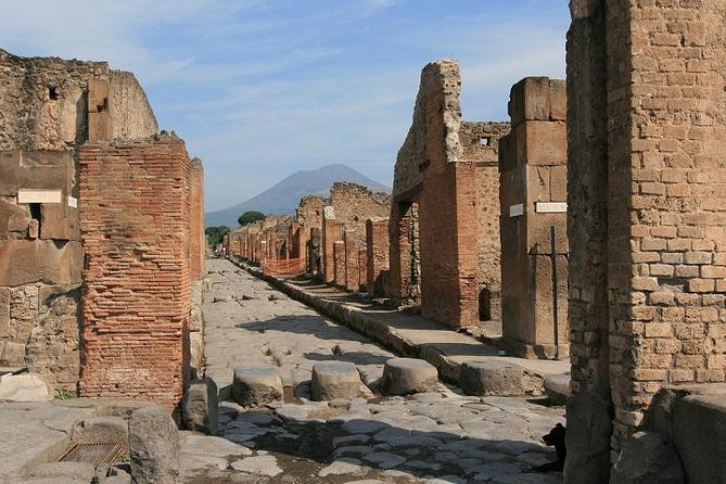 Pompeii and Naples from Rome: Small Group Day Tour with Lunch - Walking through Pompeii with a specialist