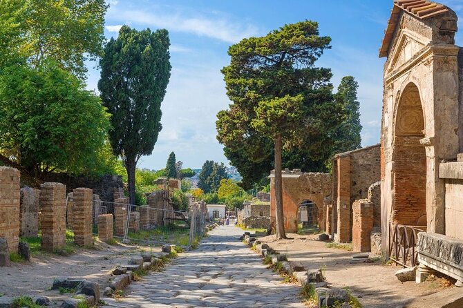 Pompeii and Naples Tour from Rome by Train with Lunch - A Neapolitan lunch with a fixed schedule