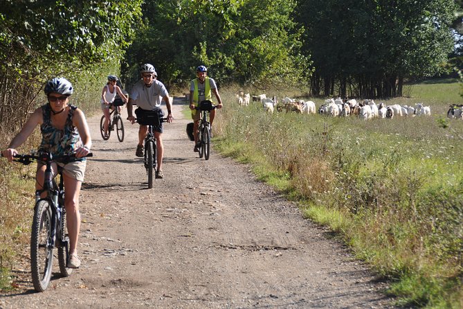 PRIVATE Appian Way and Lake Albano Ebike Tour with Italian Lunch - Cycling around volcanic Lake Albano