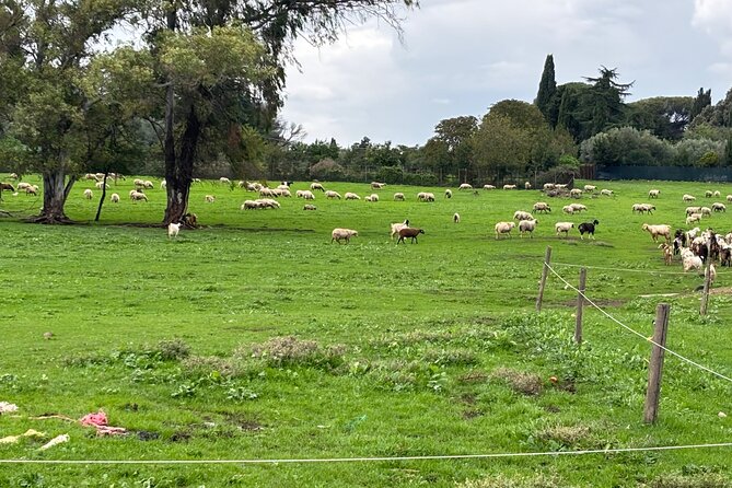 Private E-bike tour of Appian way, Aqueduct & catacombs with food - San Callixtus puts you underground