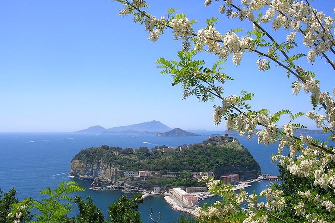 Private Tour of the Amalfi coast from Rome - Positano: one hour at the coastal showstopper