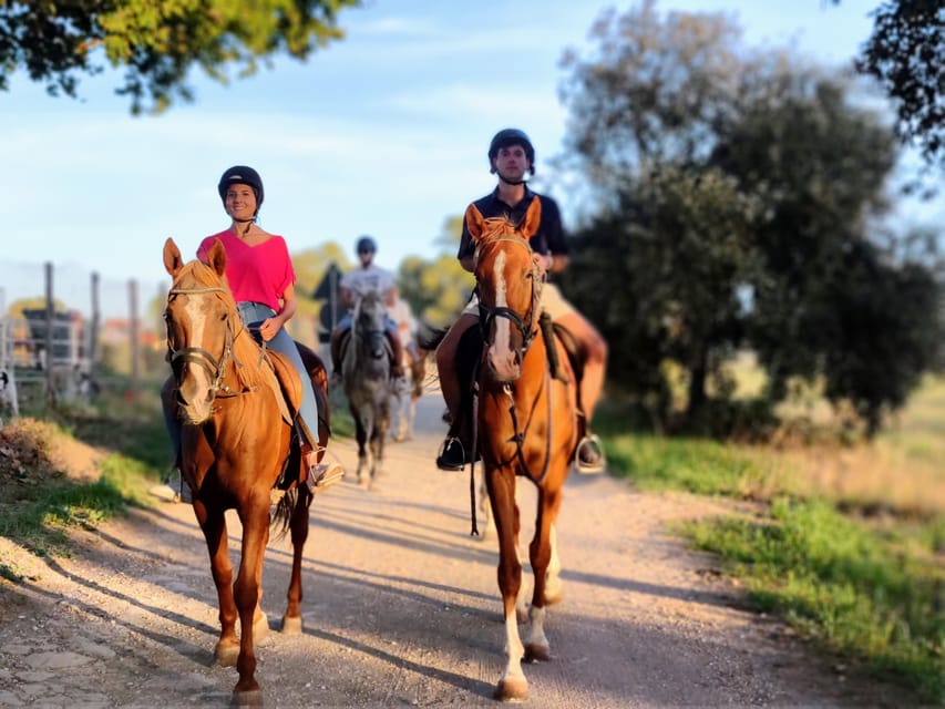 Ride in Rome with meal and wine included - Lunch, wine, and the pinewood pause