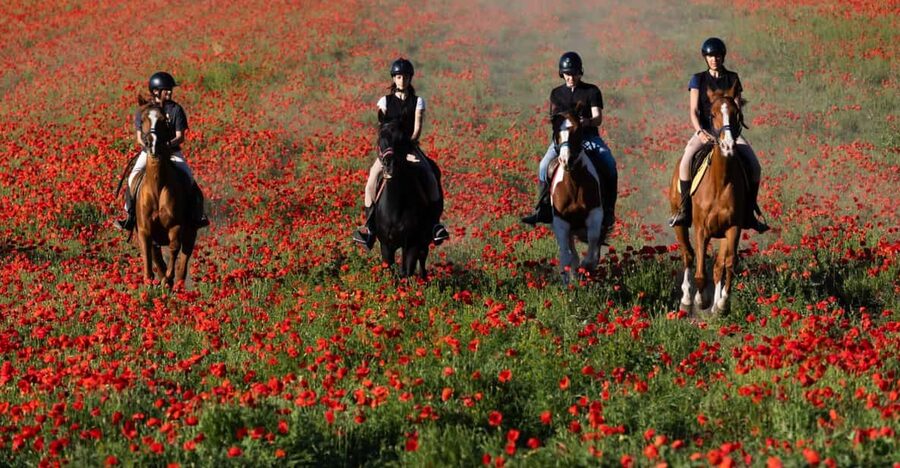 Ride in Rome with meal and wine included - The afternoon ride and return to the ranch