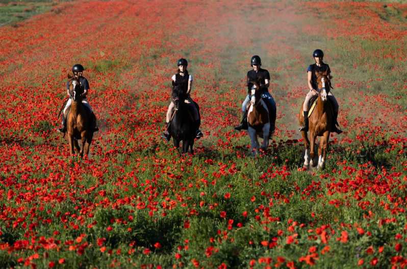 Ride in Rome with meal and wine included - Meeting at Viale dei Romagnoli, 756