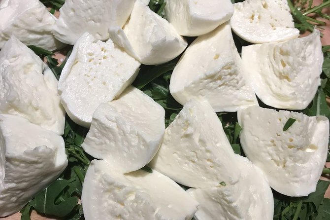 Roman Food Tour with Visit to the Trionfale Food Market - Timing, transport, and group size